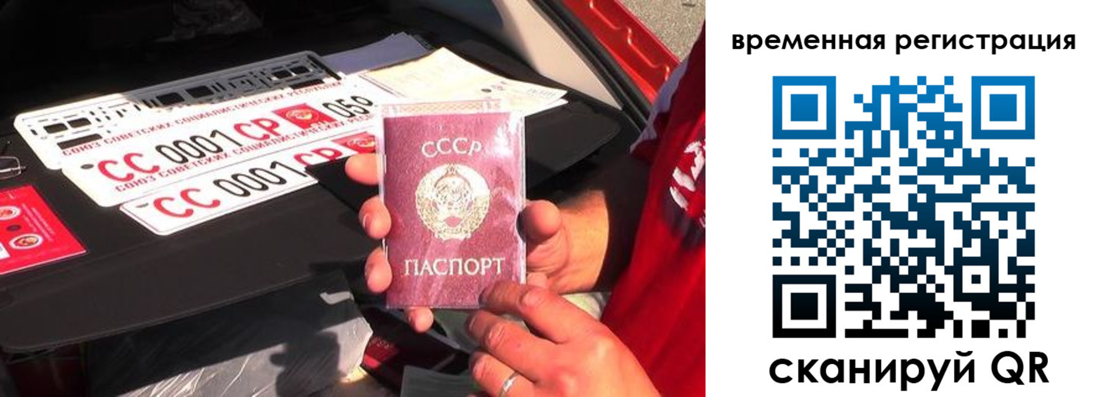 где прописаться в Каргополе